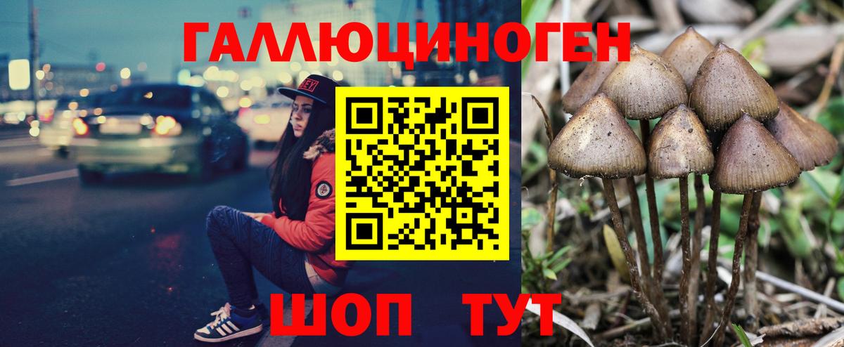 Ленинск-Кузнецкий  Галлюциногенные грибы Psilocybe  Вход с VPN 